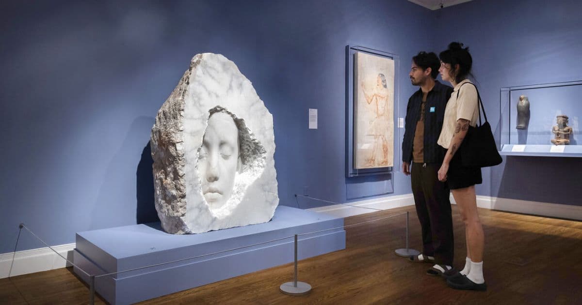 New Exhibitions Spotlight — Wednesdays & Thursdays at 2pm, Fridays at 11am