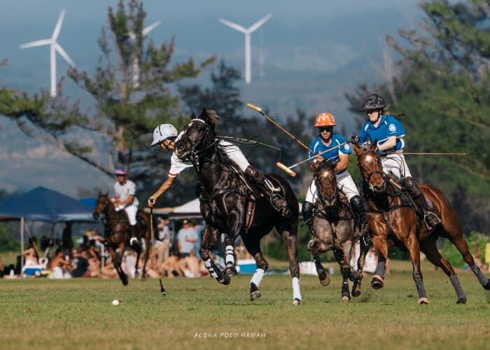 Sunday Polo on the North Shore